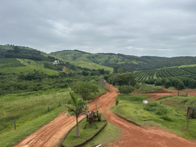 Úvodní fotka článku osobně v Brazíli (farma Santa Izabel)